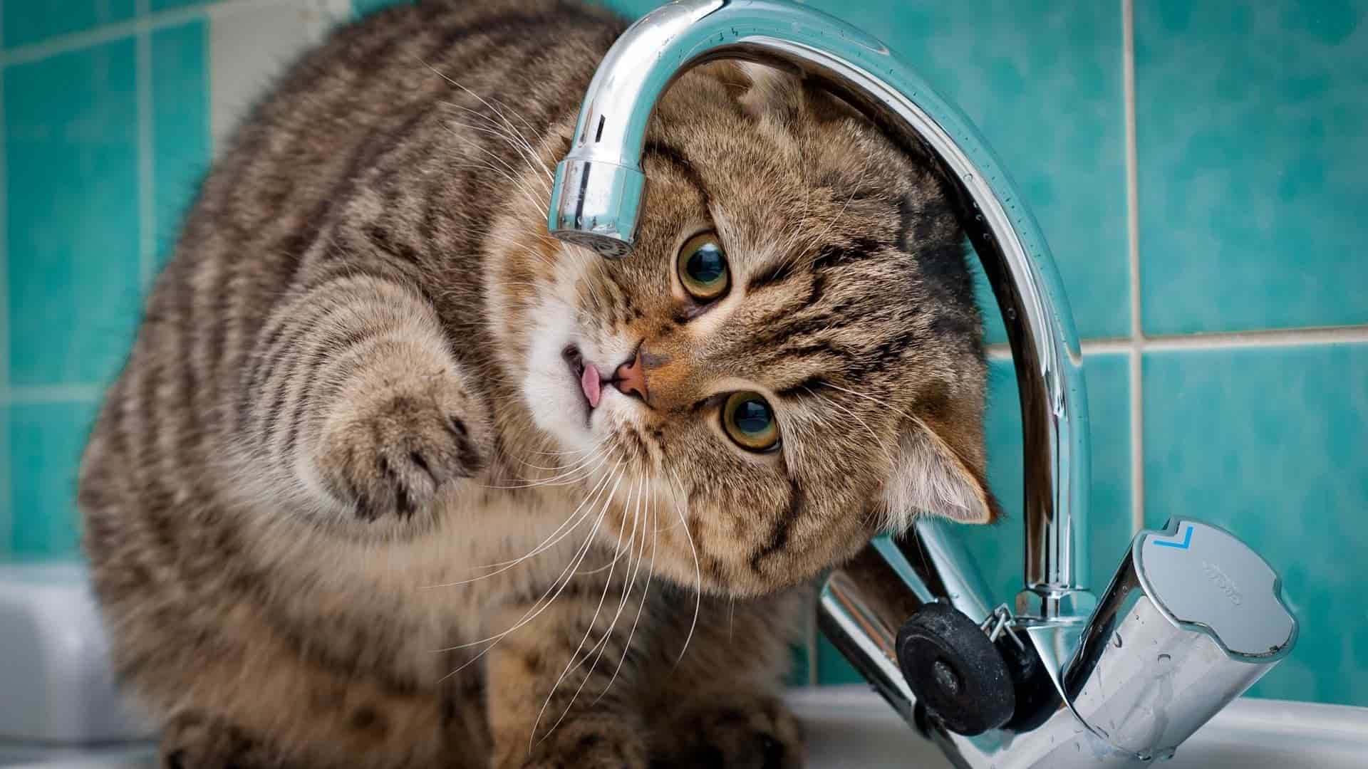 «Если в кране нет горячей воды…», или Что делать, когда нет горячего водоснабжения