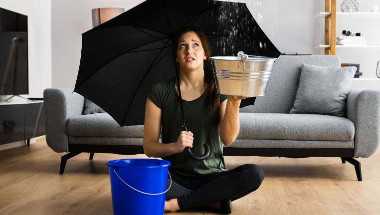 Common Reasons Charlotte Homes Need Water Damage Restoration