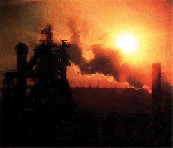 7 днів планети Земля. Ранкова зміна