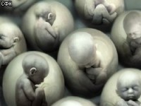 Вчені розпочали клонування людського ембріона