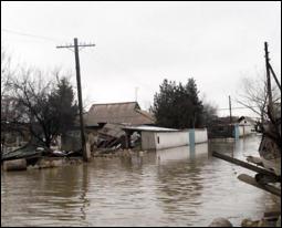 Масштабна повінь є наслідком вирубки лісів у Карпатах