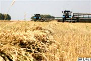 „Фахівці” знову плутаються в цифрах