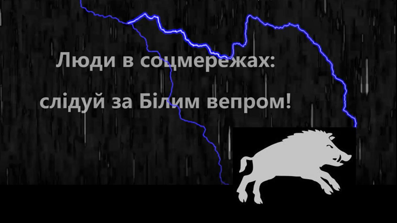 Білий вепр