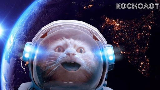 Клуб Космолот та його послуги і пропозиції