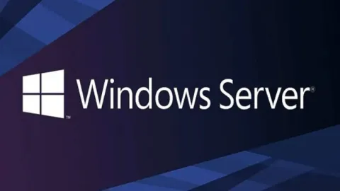 В каких случаях лучше арендовать виртуальный сервер на Windows?