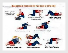 Вправи для хребта