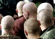 Майбутня Європа буде лисою