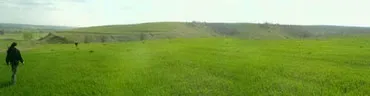  Раса Тараса
