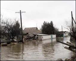 Масштабна повінь є наслідком вирубки лісів у Карпатах