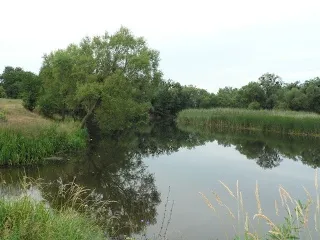 Річка Рось