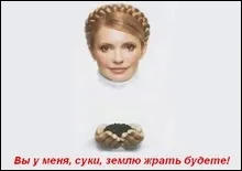Кожен українець позичив Тимошенко 200 доларів