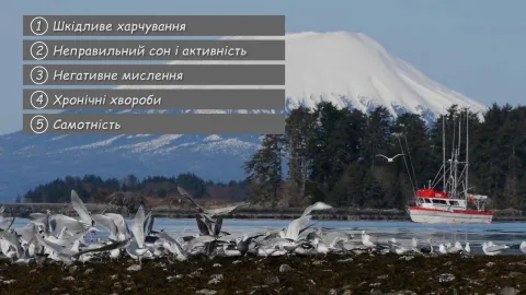 5 викликів