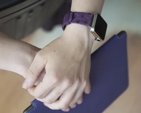 Характеристика ремінця для Apple Watch фірми Twelve South