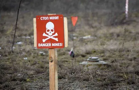 Протимінна діяльність Української Асоціації Гуманітарного Розмінування