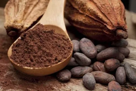 Какао: коротко про головне