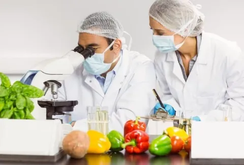 Інновації в харчовій галузі: нові тенденції та виклики