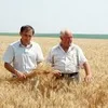 Органічне землеробство та його розвиток в Україні