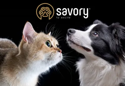 Грандорф Холистик – лучшее проявление заботы о питомце
