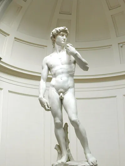 Давид (Мікеланджело, мармур, 1501–1504. Флоренція). 
