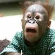 Расизм і ксенофобія 