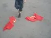Марш УПА - 2009. Запоріжжя
