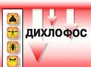 Кагал недоторканих планує на 19 грудня українофобський шабаш у Сімферополі 