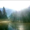 Велике арійське очищення. Приєднуйся!