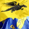 Тризуб свободи і Дракон волі