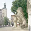 Польська цеглина, але лев український