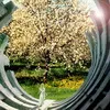 Живе Слово: 6 серпня – колективна молитва за Україну