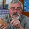 Пшеницю, яку вирощували трипільські племена, заборонили в часи колективізації
