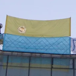 Жовто-блакитники