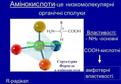  Альтернативна енергія Б.Болотова живе в Києві