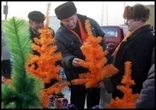 В Україні з’явилася помаранчева горілка