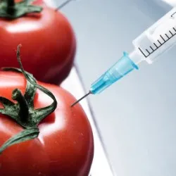 Пропозиція ГМО маркування продуктів харчування в Каліфорнії провалилась?